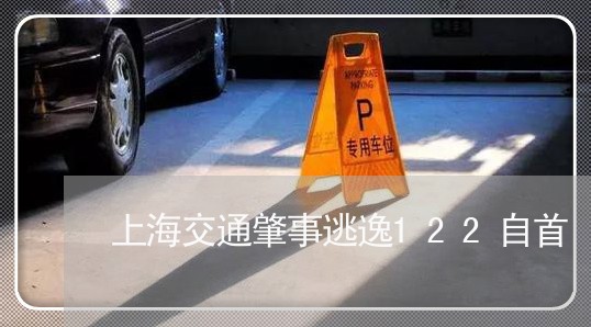 上海交通肇事逃逸122自首/2023033126059