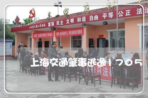 上海交通肇事逃逸1705/2023031743514 上海交通肇事逃逸1705/2023031743514