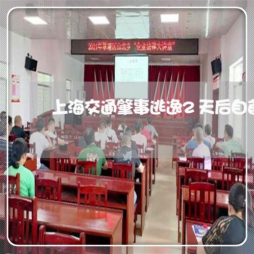 上海交通肇事逃逸2天后自首/2023033070493