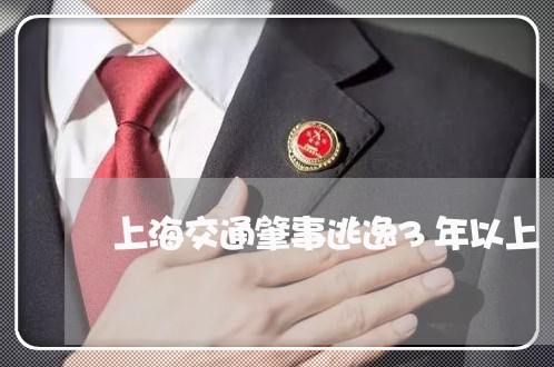 上海交通肇事逃逸3年以上/2023031737249 上海交通肇事逃逸3年以上/2023031737249