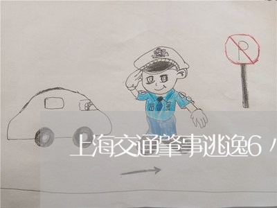 上海交通肇事逃逸6小时归案/2023033084148 上海交通肇事逃逸6小时归案/2023033084148