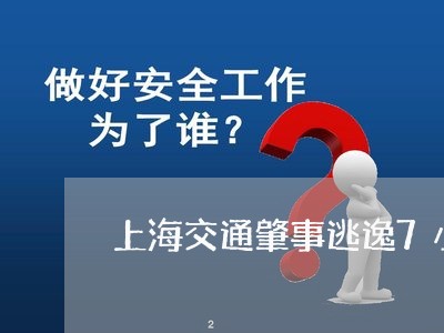 上海交通肇事逃逸7小时/2023022896926 上海交通肇事逃逸7小时/2023022896926