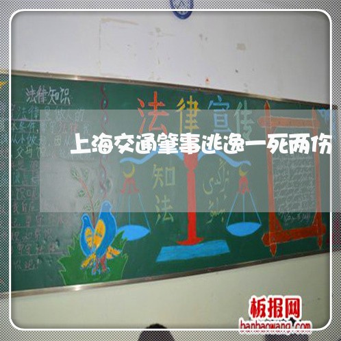 上海交通肇事逃逸一死两伤/2023031869592