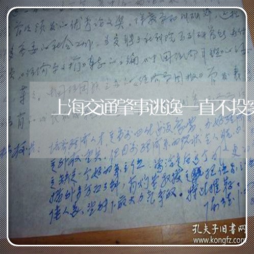 上海交通肇事逃逸一直不投案/2023033095925