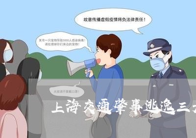 上海交通肇事逃逸三天/2023021270393 上海交通肇事逃逸三天/2023021270393