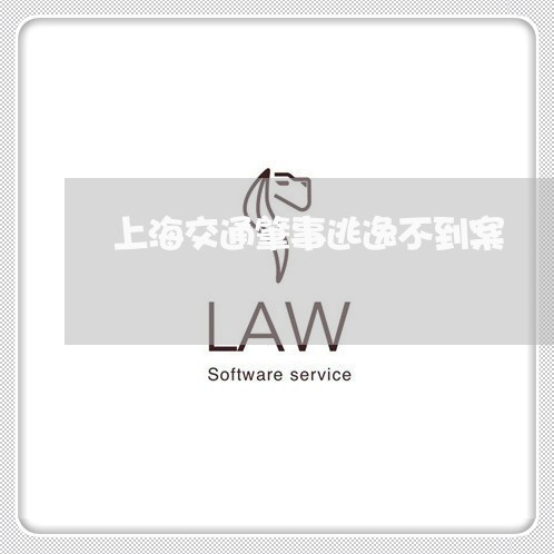 上海交通肇事逃逸不到案/2023022830481