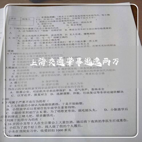 上海交通肇事逃逸两万/2023021163715