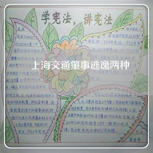上海交通肇事逃逸两种/2023021126158 上海交通肇事逃逸两种/2023021126158