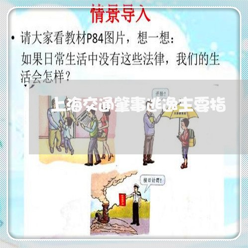 上海交通肇事逃逸主要指/2023022726158