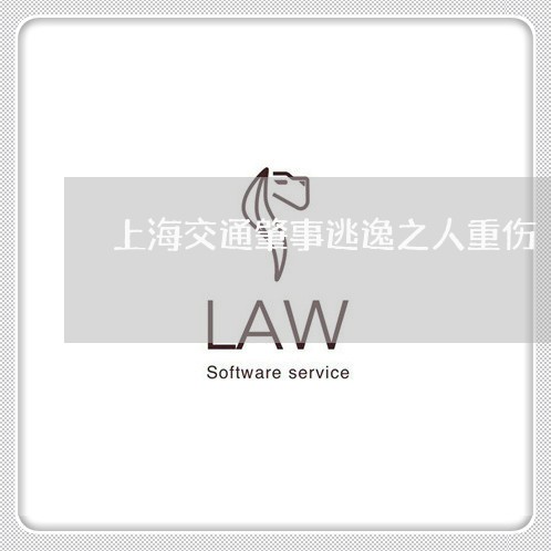 上海交通肇事逃逸之人重伤/2023031751583