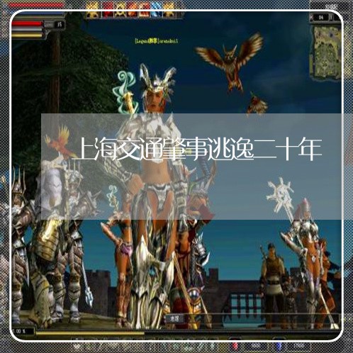 上海交通肇事逃逸二十年/2023022883935 上海交通肇事逃逸二十年/2023022883935