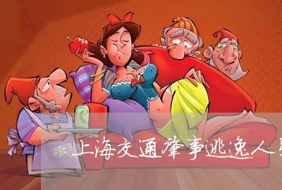 上海交通肇事逃逸人员/2023021251595 上海交通肇事逃逸人员/2023021251595