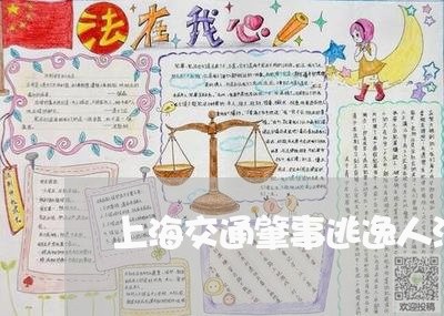 上海交通肇事逃逸人没事吗/2023031782704 上海交通肇事逃逸人没事吗/2023031782704