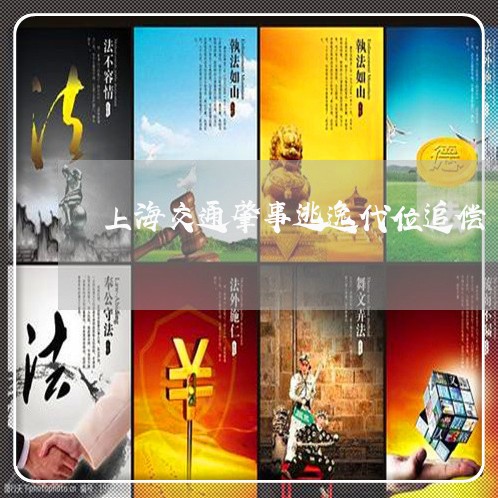上海交通肇事逃逸代位追偿/2023033049592 上海交通肇事逃逸代位追偿/2023033049592