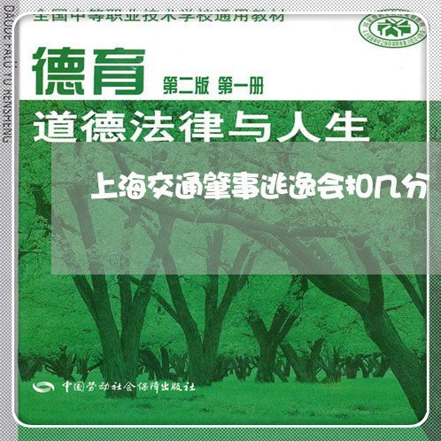 上海交通肇事逃逸会扣几分/2023031796030 上海交通肇事逃逸会扣几分/2023031796030