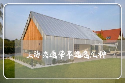 上海交通肇事逃逸几种/2023021249282 上海交通肇事逃逸几种/2023021249282