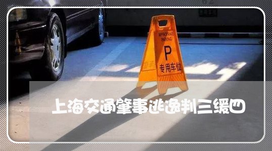 上海交通肇事逃逸判三缓四/2023031767239 上海交通肇事逃逸判三缓四/2023031767239