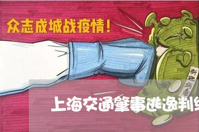 上海交通肇事逃逸判缓刑对工作/2023060434826