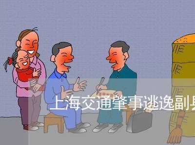 上海交通肇事逃逸副县长/2023022851835