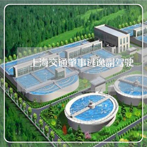 上海交通肇事逃逸副驾驶/2023022840506