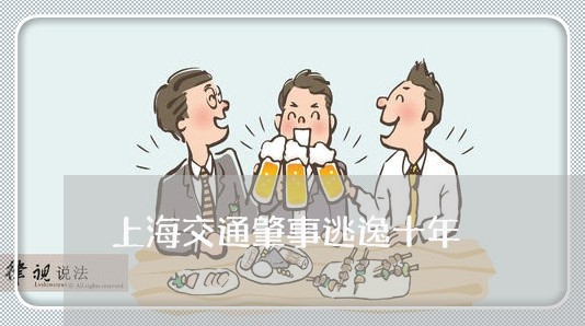 上海交通肇事逃逸十年/2023021148482 上海交通肇事逃逸十年/2023021148482