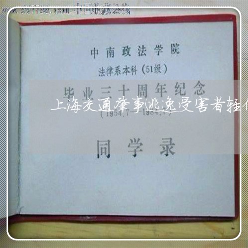 上海交通肇事逃逸受害者轻伤/2023033037159