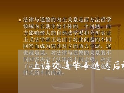 上海交通肇事逃逸后被追/2023022827261