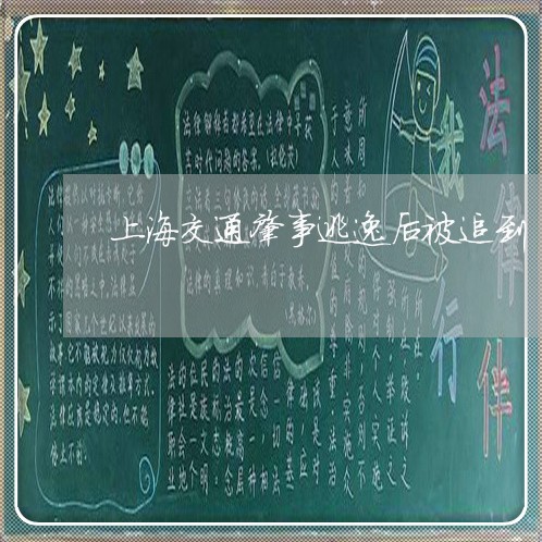 上海交通肇事逃逸后被追到/2023031704927 上海交通肇事逃逸后被追到/2023031704927
