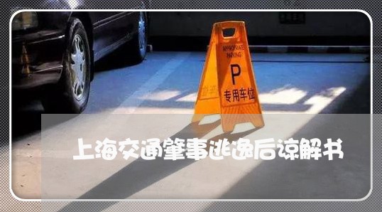 上海交通肇事逃逸后谅解书/2023031711593 上海交通肇事逃逸后谅解书/2023031711593