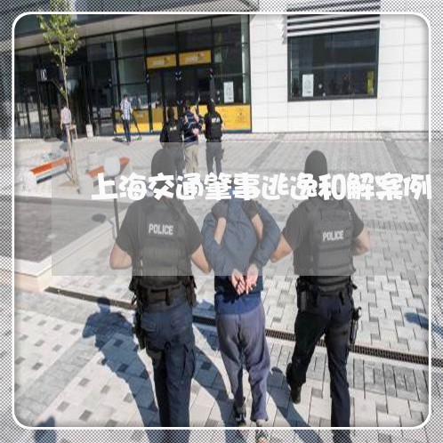 上海交通肇事逃逸和解案例/2023033011706