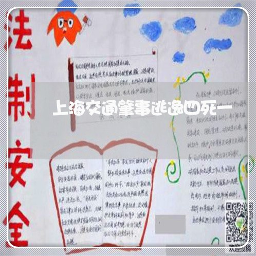 上海交通肇事逃逸四死一/2023022890504