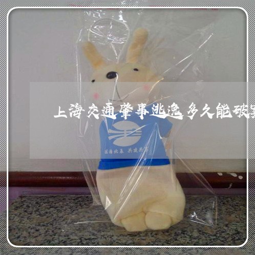 上海交通肇事逃逸多久能破案/2023033008261