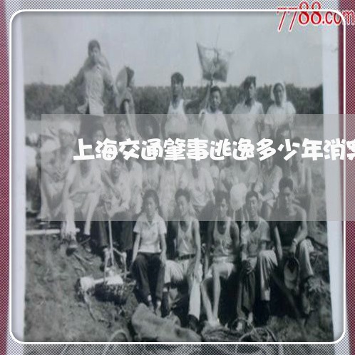 上海交通肇事逃逸多少年消案/2023033039281 上海交通肇事逃逸多少年消案/2023033039281