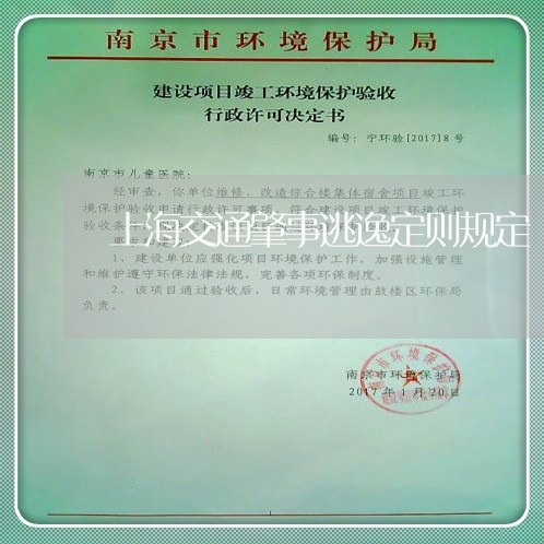 上海交通肇事逃逸定则规定/2023031859371 上海交通肇事逃逸定则规定/2023031859371