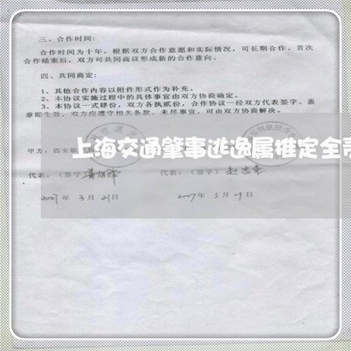 上海交通肇事逃逸属推定全责/2023033094947