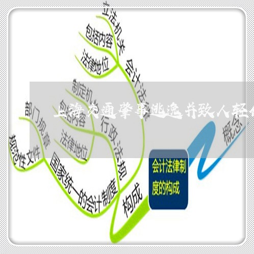 上海交通肇事逃逸并致人轻伤/2023033061495 上海交通肇事逃逸并致人轻伤/2023033061495