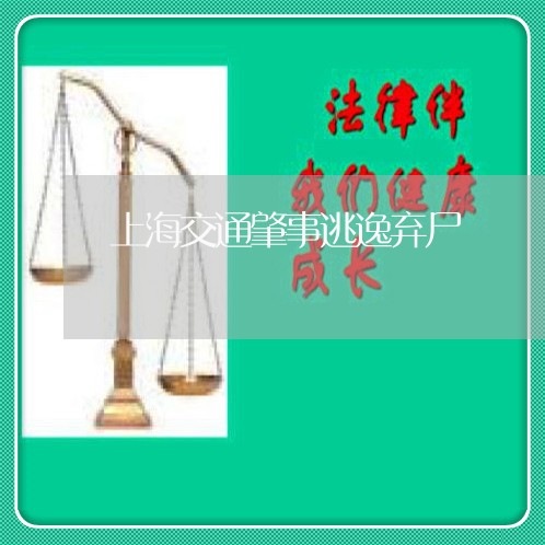 上海交通肇事逃逸弃尸/2023021230581 上海交通肇事逃逸弃尸/2023021230581