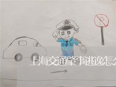上海交通肇事逃逸怎么判决书/2023033039402 上海交通肇事逃逸怎么判决书/2023033039402