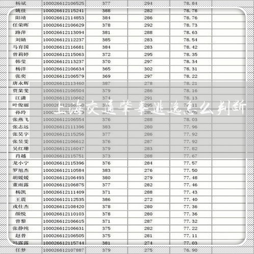 上海交通肇事逃逸怎么判断/2023033004949