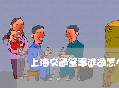 上海交通肇事逃逸怎么告他/2023031785823 上海交通肇事逃逸怎么告他/2023031785823