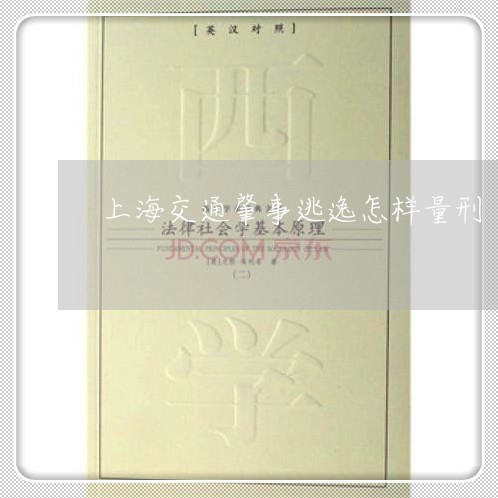 上海交通肇事逃逸怎样量刑/2023033057372 上海交通肇事逃逸怎样量刑/2023033057372