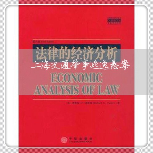 上海交通肇事逃逸悬案/2023021275028 上海交通肇事逃逸悬案/2023021275028