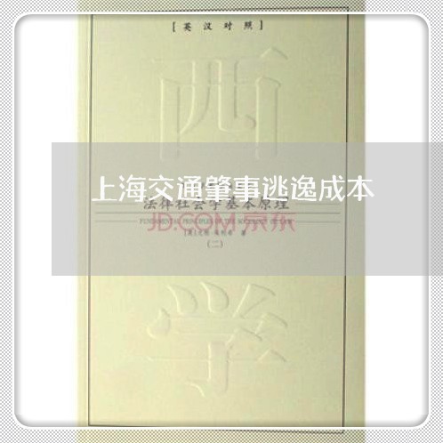 上海交通肇事逃逸成本/2023021295937 上海交通肇事逃逸成本/2023021295937