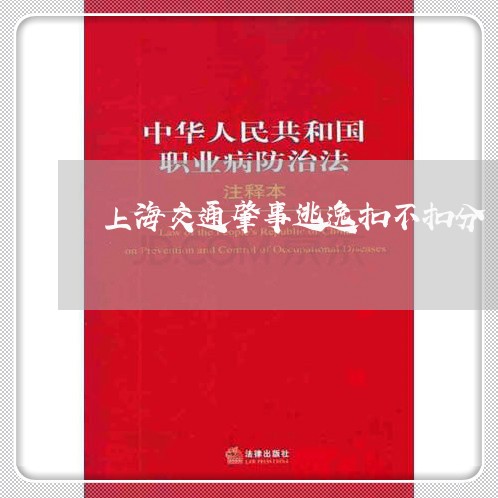 上海交通肇事逃逸扣不扣分/2023033088592