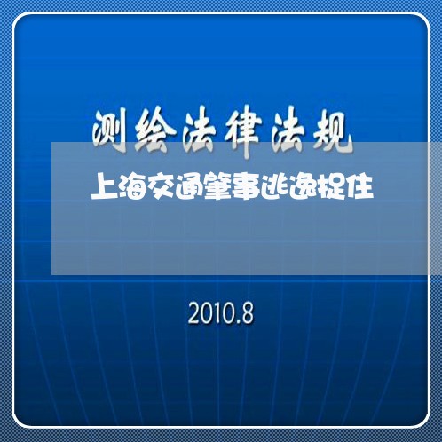 上海交通肇事逃逸捉住/2023021235047 上海交通肇事逃逸捉住/2023021235047