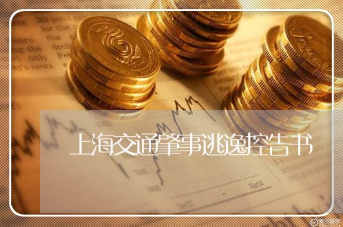 上海交通肇事逃逸控告书/2023022851717