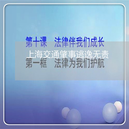 上海交通肇事逃逸无责/2023021210472 上海交通肇事逃逸无责/2023021210472
