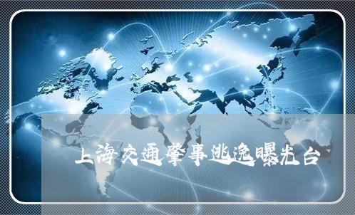 上海交通肇事逃逸曝光台/2023022830693 上海交通肇事逃逸曝光台/2023022830693