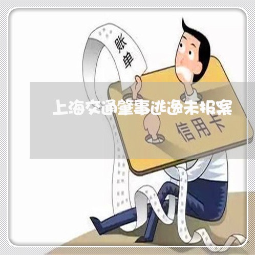 上海交通肇事逃逸未报案/2023022792616
