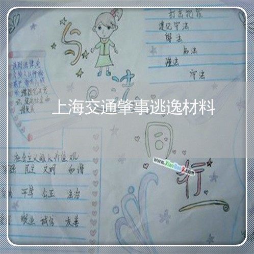 上海交通肇事逃逸材料/2023021282583 上海交通肇事逃逸材料/2023021282583
